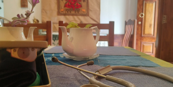 Sparsha Ayurveda Spa